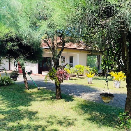 The Beez Hotel Negombo Luaran gambar