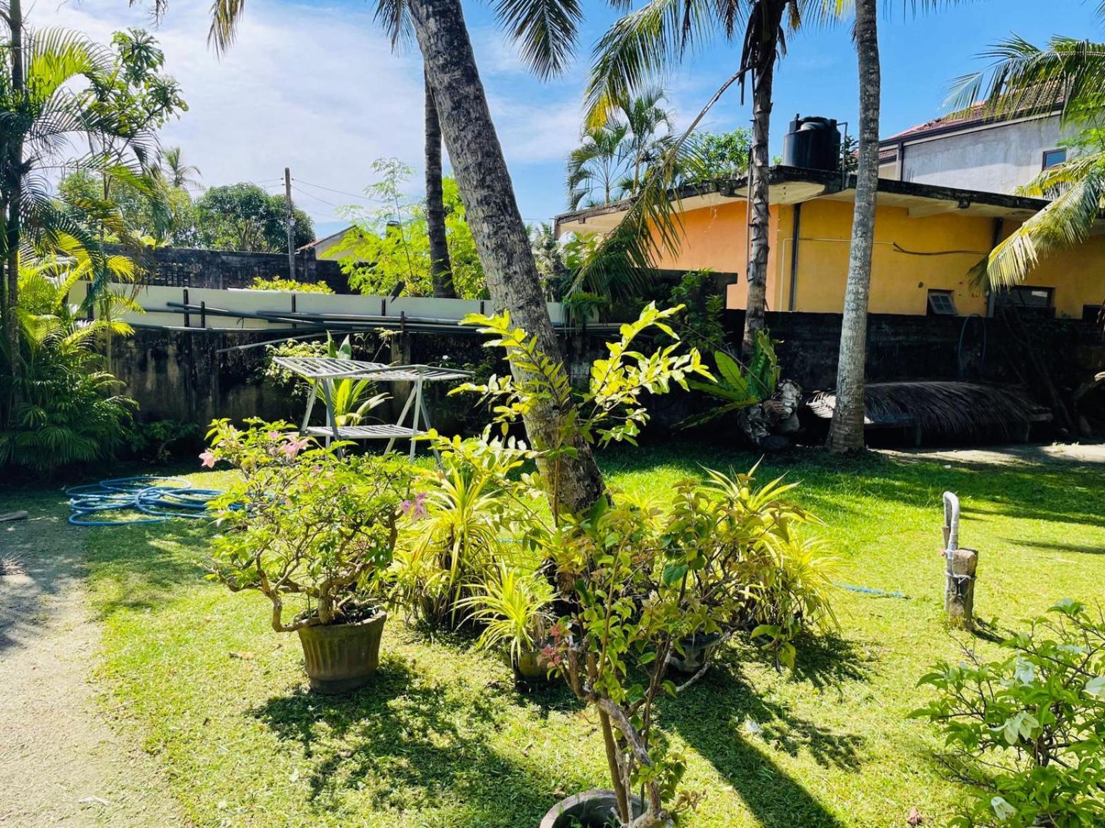 The Beez Hotel Negombo Luaran gambar