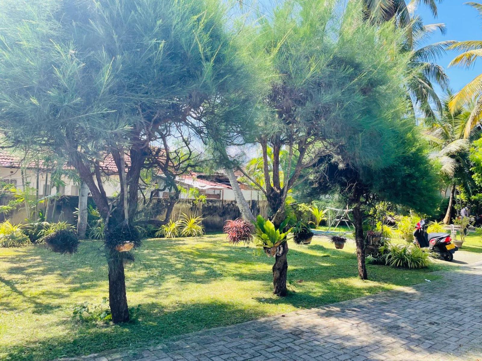 The Beez Hotel Negombo Luaran gambar