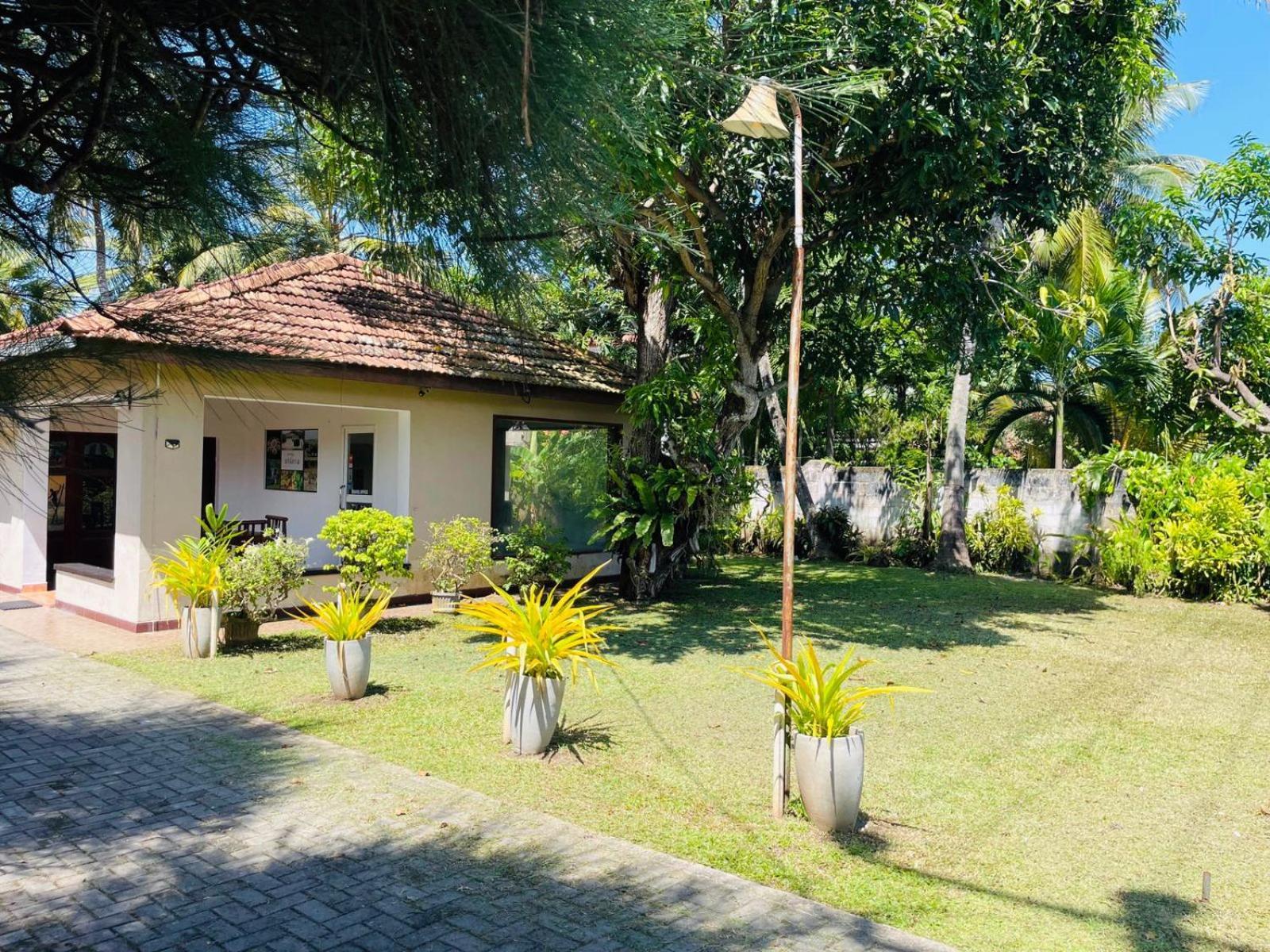 The Beez Hotel Negombo Luaran gambar